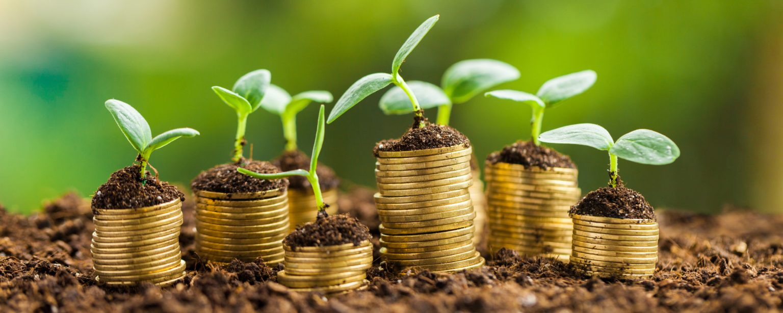Stapeltjes geld met plantjes die hieruit groeien. Duurzaam beleggen